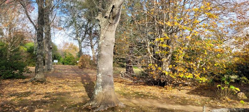 Commercial Property for Sale in Hogsback Eastern Cape